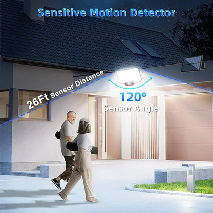 IP65 Solar Motion Sensor Light
